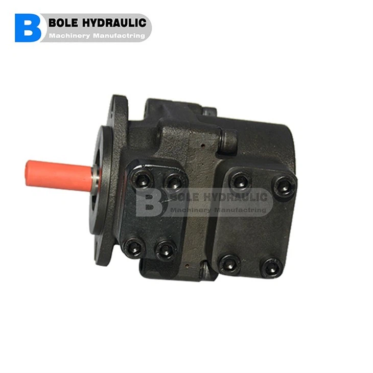 Atos Vane Pumps PVL-206/50