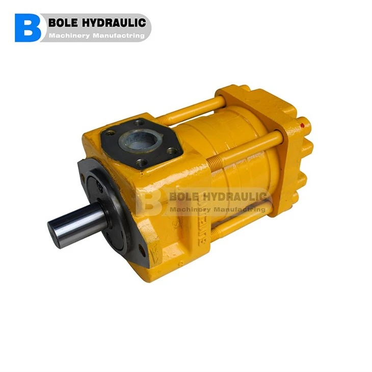 Gear Pump 115L-BI-4H3-4P-20BSP20-250